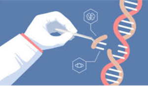 Extinction of Evolution