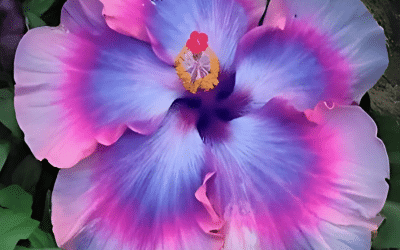 Stroll thru the Garden