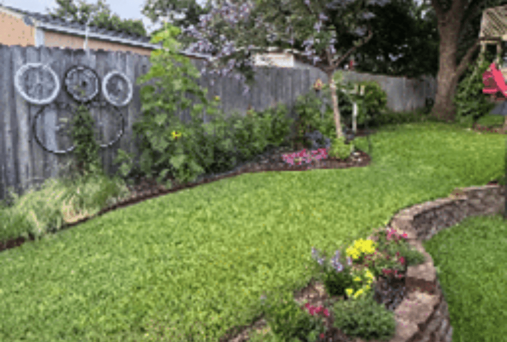 Notes from the Garden