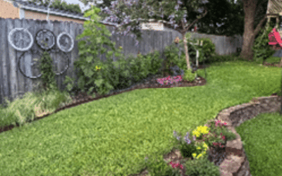 Notes from an African Tourist – Home