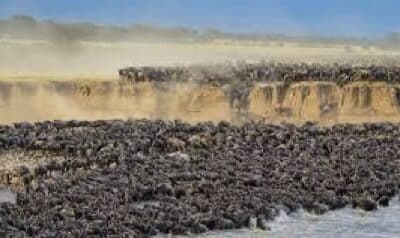 The Great Migration