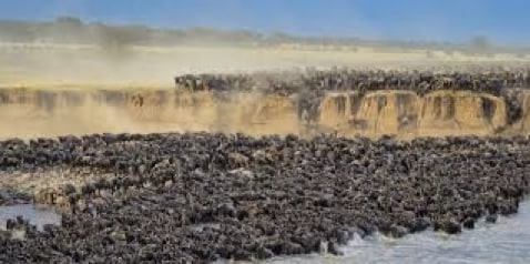 Great Migration